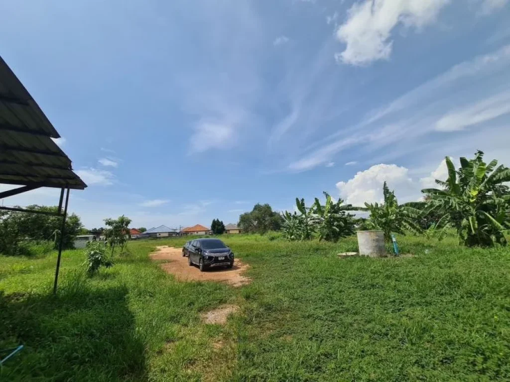 ขายที่ดินสวยใกล้ชายทะเล ตรงข้ามบุญถาวร ตบางเสร่ อสัตหีบ