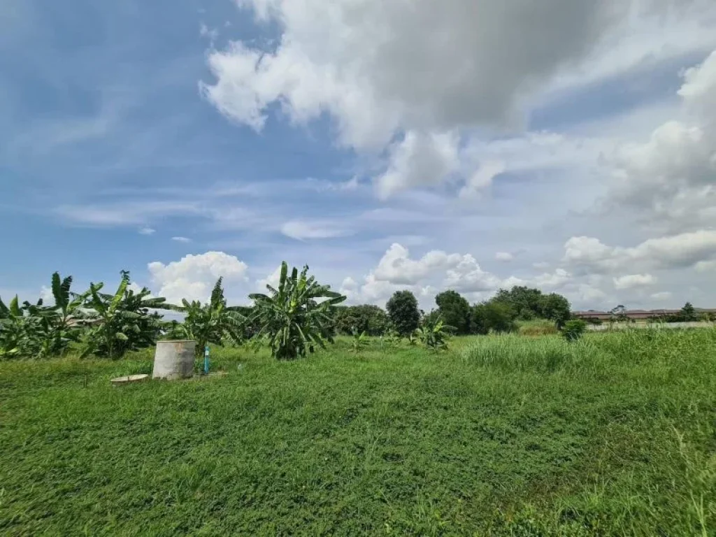 ขายที่ดินสวยใกล้ชายทะเล ตรงข้ามบุญถาวร ตบางเสร่ อสัตหีบ