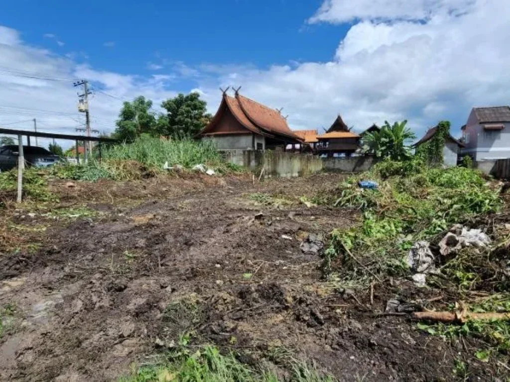 ขายที่ดินตำบลช้างเผือกห่างถนนโชตนาเพียง 400 เมตรพร้อมโอน