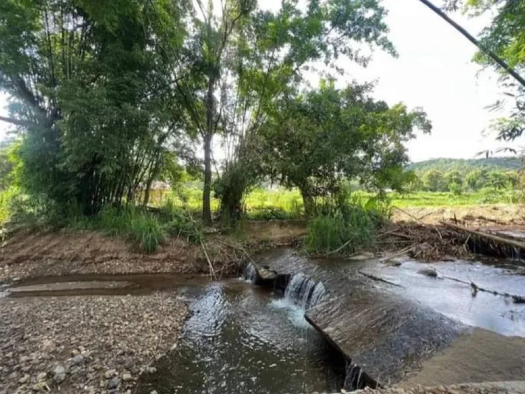 ขายที่ดินตำบลสะเมิงสะเมิงใต้ติดลำธารน้ำโฉนดพร้อมโอน