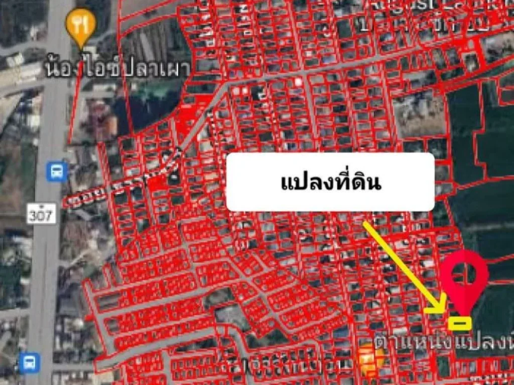 ขายด่วน ที่ดิน100วา ซธรรมสุธีร์ ตบางเดื่อ อเมืองปทุม