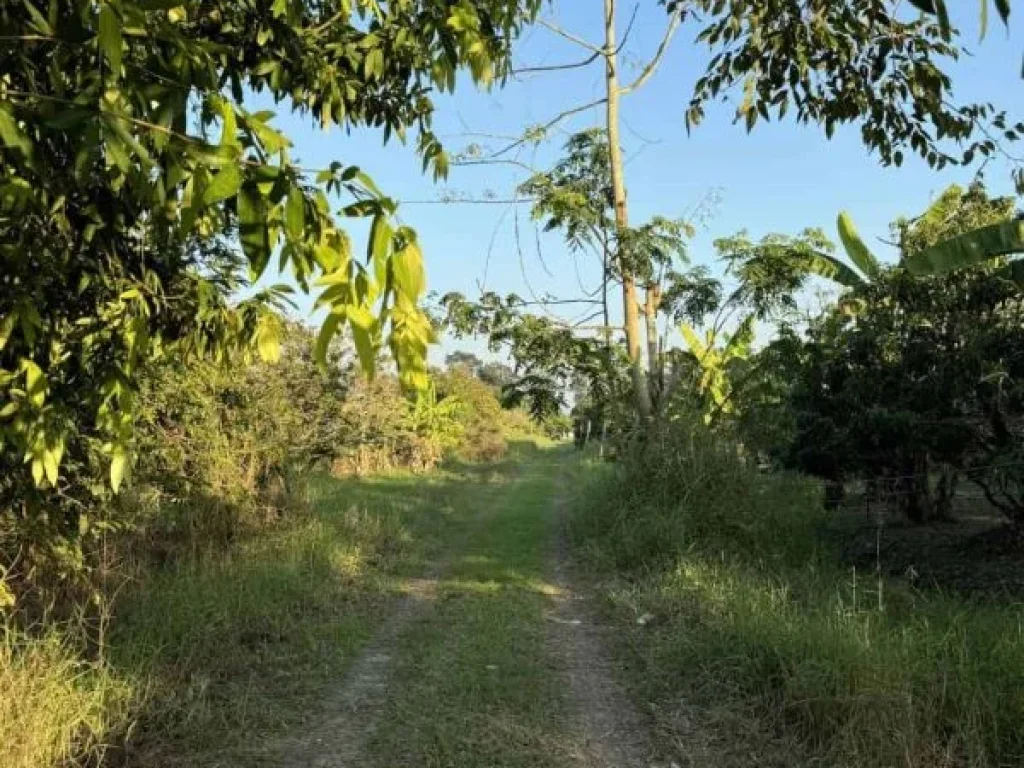 ถูกที่สุดในย่านนี้ ที่ดิน 731 ตรว ทำเลทอง อสารภี