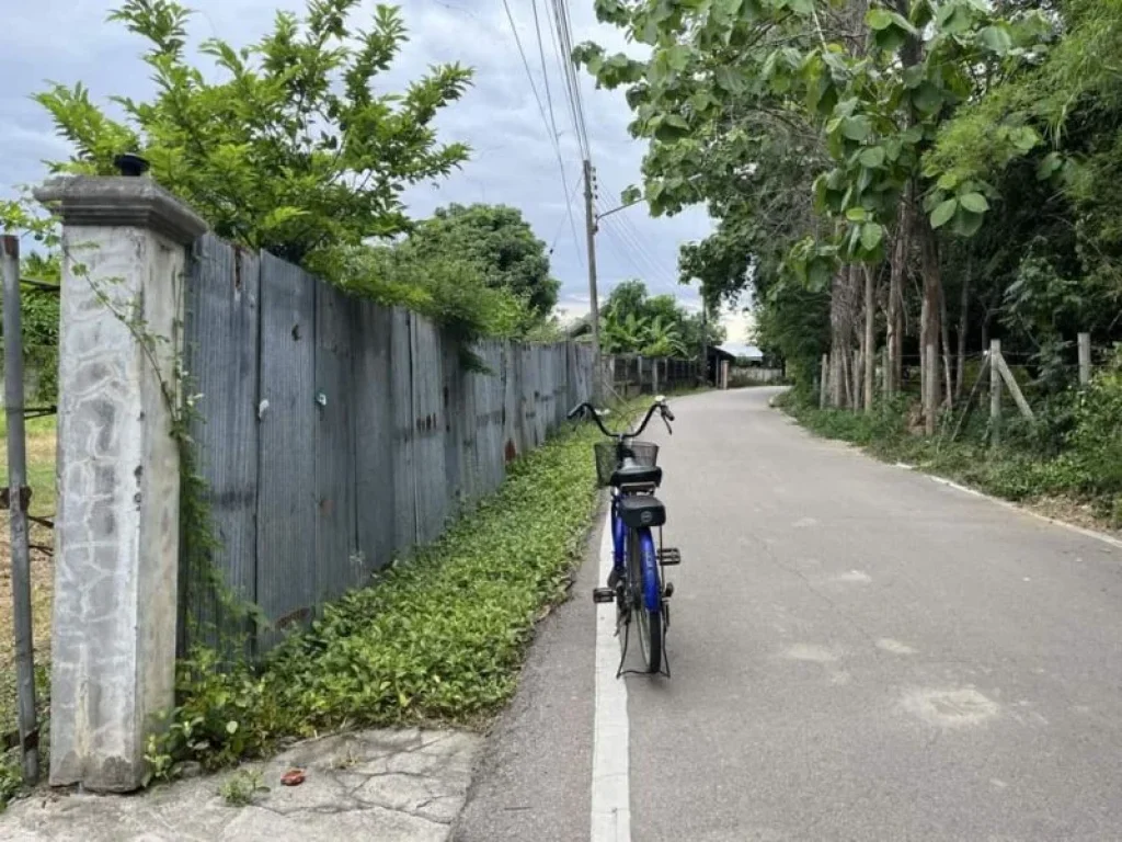 ขายที่ดินตำบลน้ำแพร่หางดงติดถนนล้อมรั้วเรียบร้อยพร้อมโอน