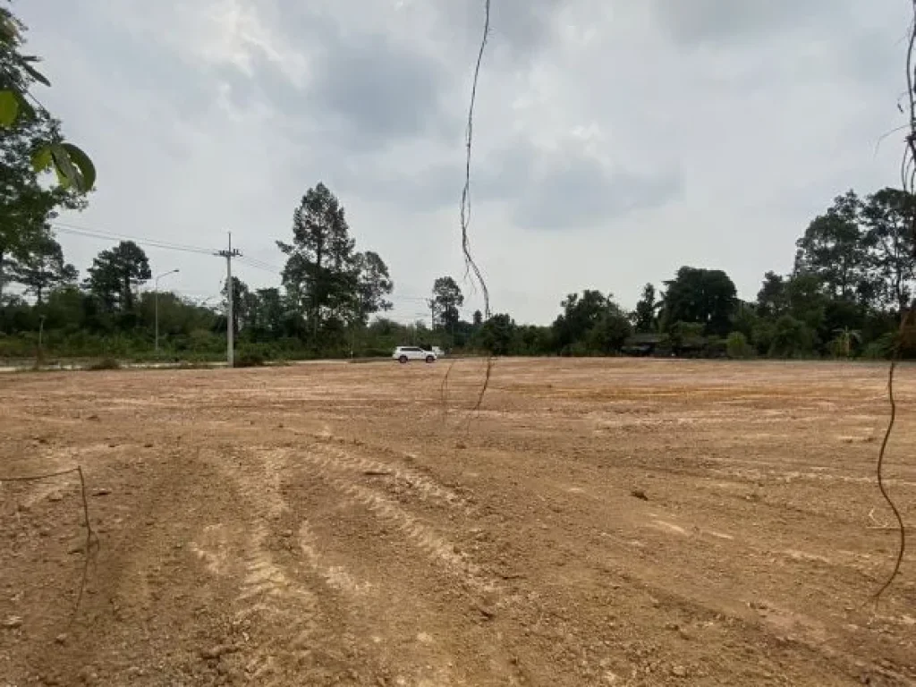 ขายที่ดินสวย ตโนนห้อม เมืองปราจีนบุรี ราคาดี