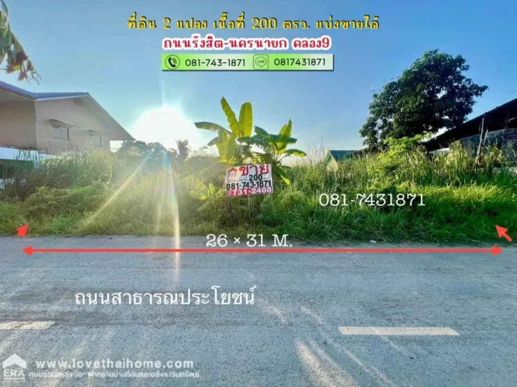 ขายที่ดิน รังสิต-นครนายก คลอง9 เนื้อที่ 200 ตรว ติดเรือนศิลา