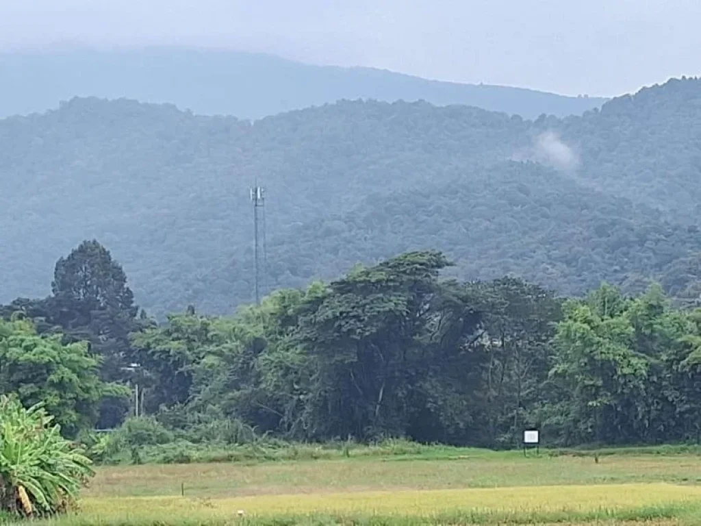 ขายที่ดินตำบลบ้านปงหางดงถนนลาดยางวิวดอยโฉนดพร้อมโอน