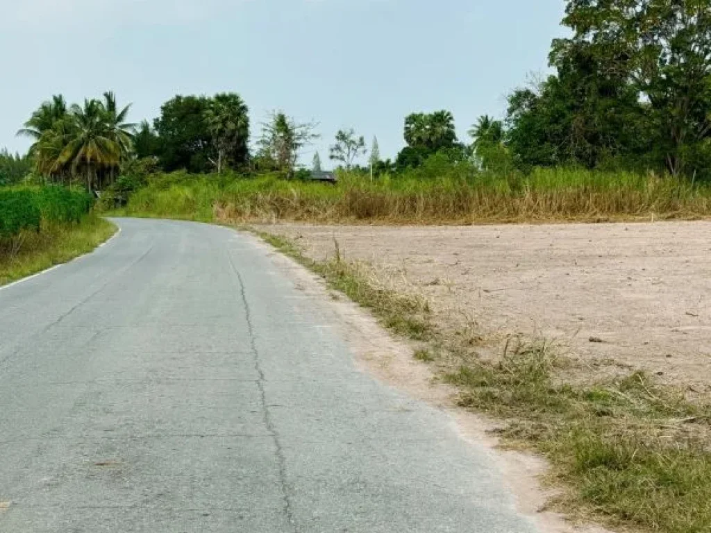 ที่ดินติดถนนลาดยาง มีน้ำ มีไฟฟ้า เดินทางไปทะเลชะอำ 30 นาที