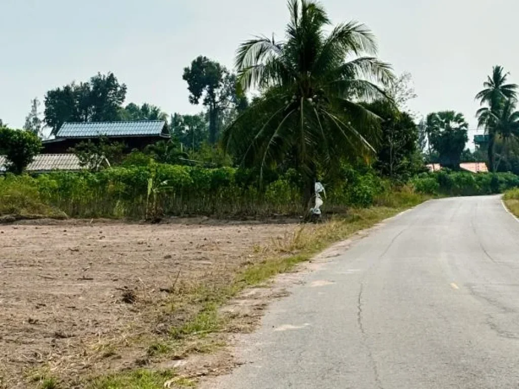 ที่ดินติดถนนลาดยาง มีน้ำ มีไฟฟ้า เดินทางไปทะเลชะอำ 30 นาที