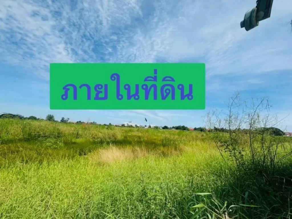 ขายถูกที่สุด มีแปลงเดียวในนิคมขายถูกต่ำกว่าราคาตลาด