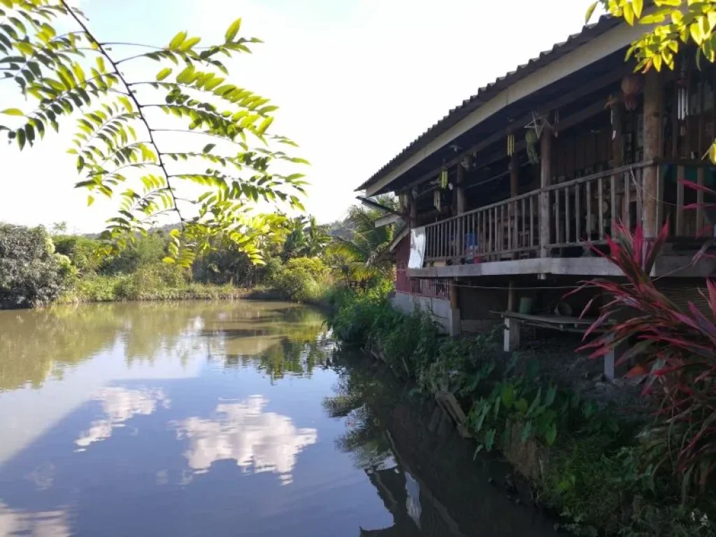 ขายที่นาพร้อมบ้านพัก มีน้ำ ไฟฟ้า วิวสวย มีถนนทางลงไปยังที่ดิน