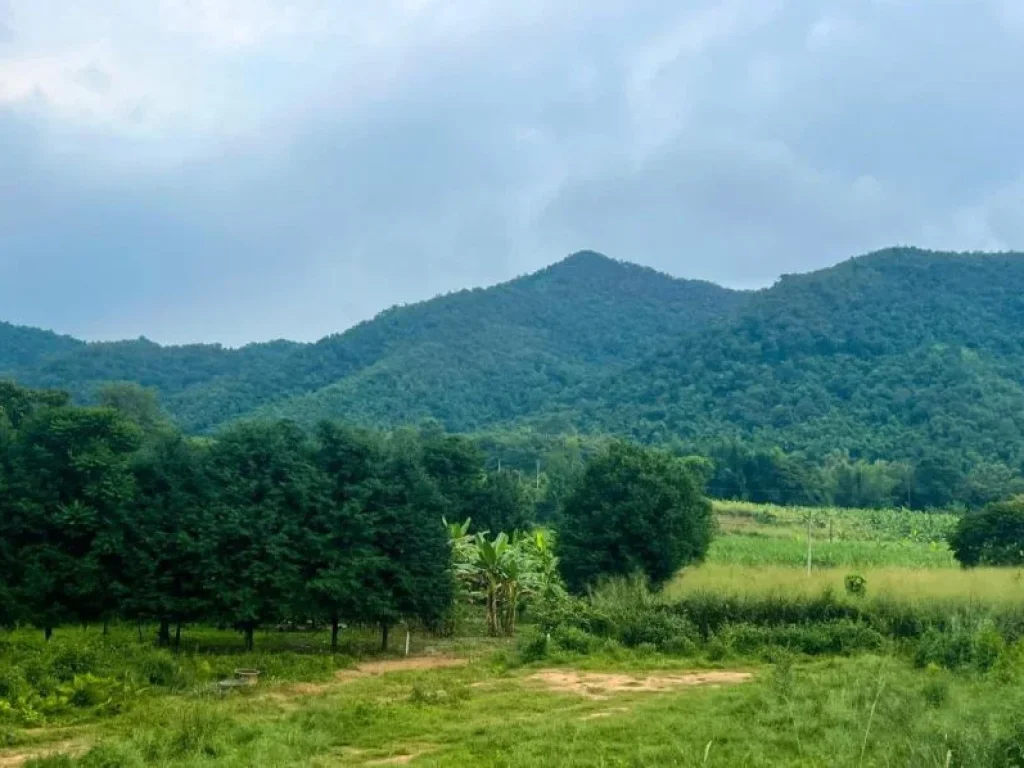 ที่ดิน 2 ไร่ ติดภูเขา 360 องศา หนองหญ้าปล้อง วิวคือสวยมาก