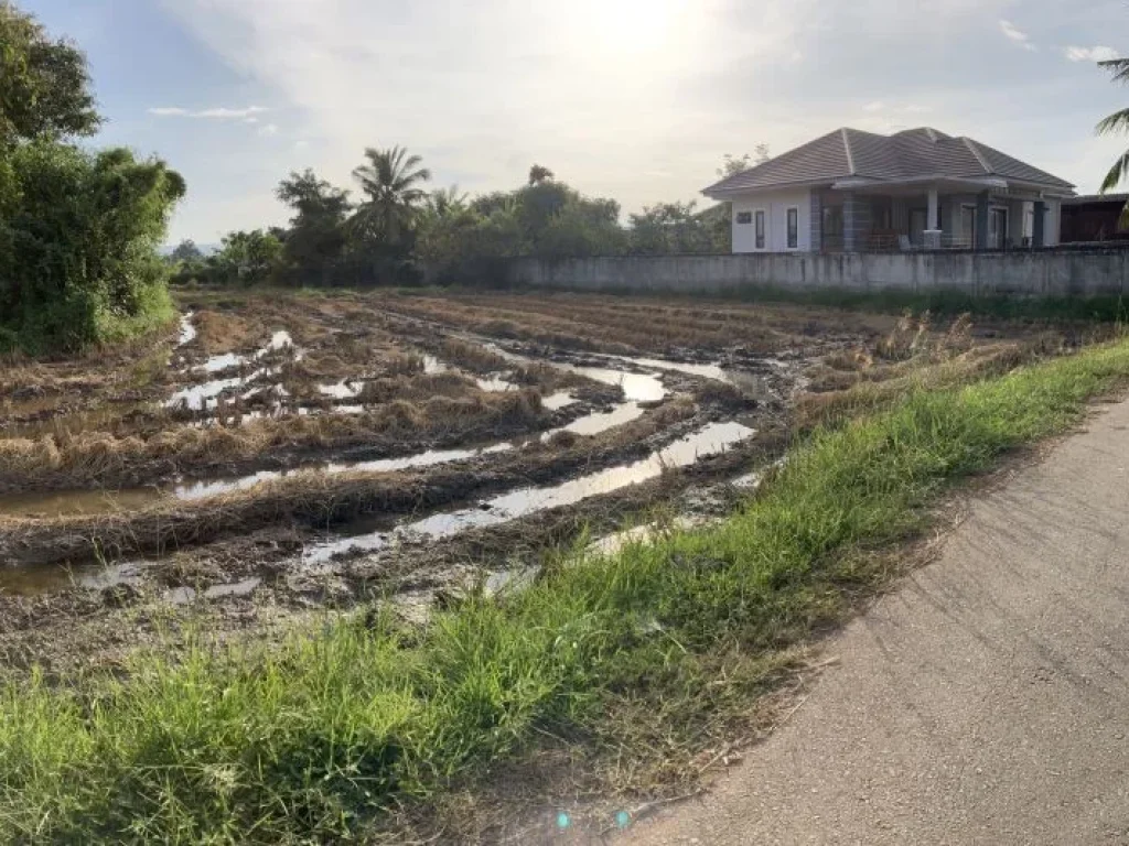 ขายที่ดินสำหรับชีวิตสโลว์ไลฟ์ อำเภอแม่ทะ จังหวัดลำปาง