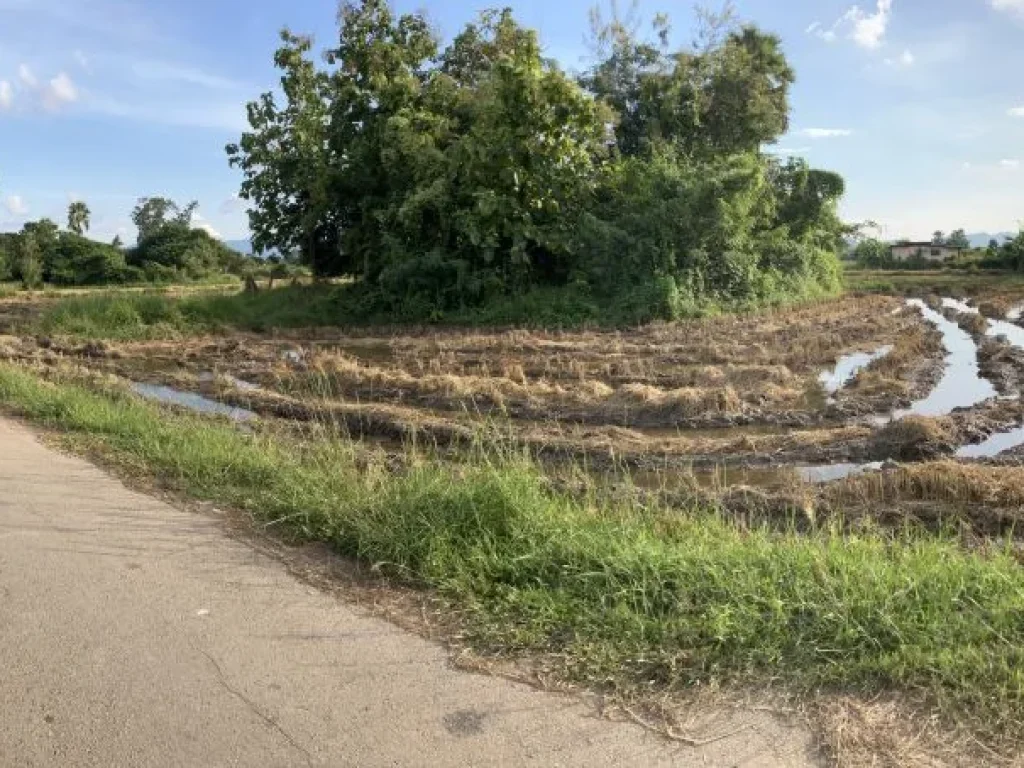 ขายที่ดินสำหรับชีวิตสโลว์ไลฟ์ อำเภอแม่ทะ จังหวัดลำปาง