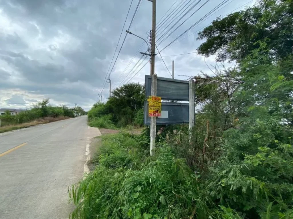 ที่ดินไทรใหญ่ ไทรน้อย นนทบุรี ติดถนนคอนกรีตสาธารณะ แปลงมุม