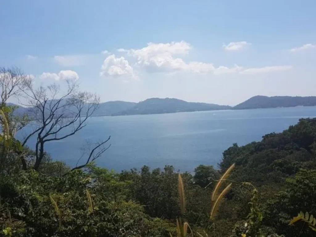 ขายที่ดินกระทู้ติดชายหาดและวิวเขาเนื้อที่ 8 ไร่