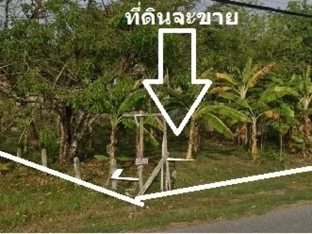 ขายที่ดิน 1-2-291 ไร่ ที่ดินติดถนนเทพกษัตรี ตไม้ขาว ถลาง