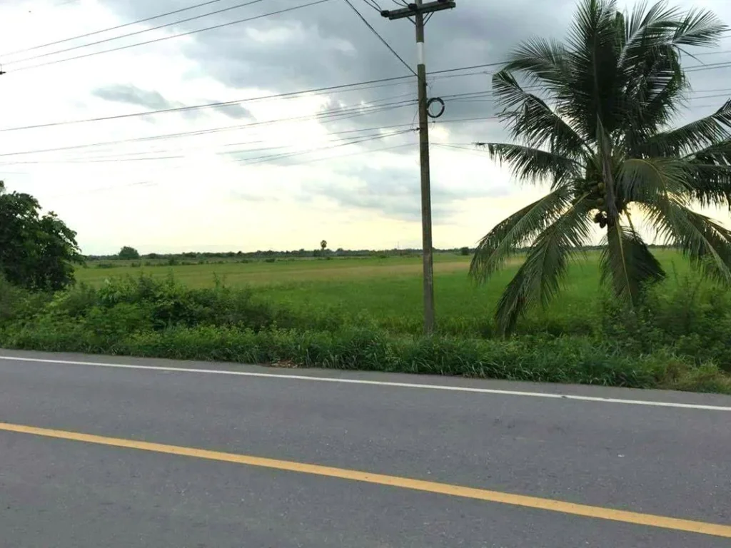 ขายที่ดิน 42 ไร่ ติดถนนเลียบคลอง 11 อลำลูกกา จปทุมธานี