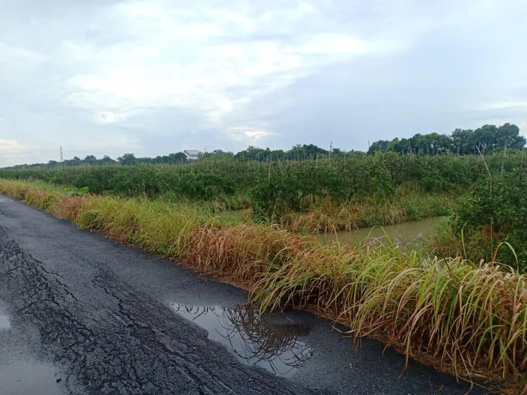 ขายที่ดิน 5 ไร่ ติดถนนสองด้าน คลองเก้า อหนองเสือ จปทุธานี