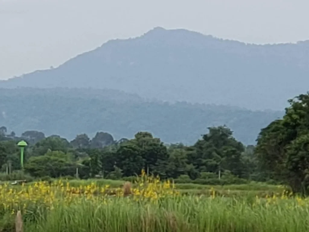 ที่ดินวิวเขาล้อมพาโนรามาสวยมาก บรรยากาศร่มเย็นเป็นสุข ใกล้แหล่งความเจริญ แหล่งท่องเที่ยว