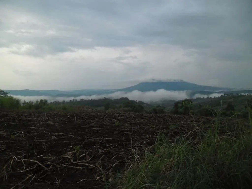 ที่ดินทำบ้านสวนพักผ่อน ทำฟาร์ามสเตย์