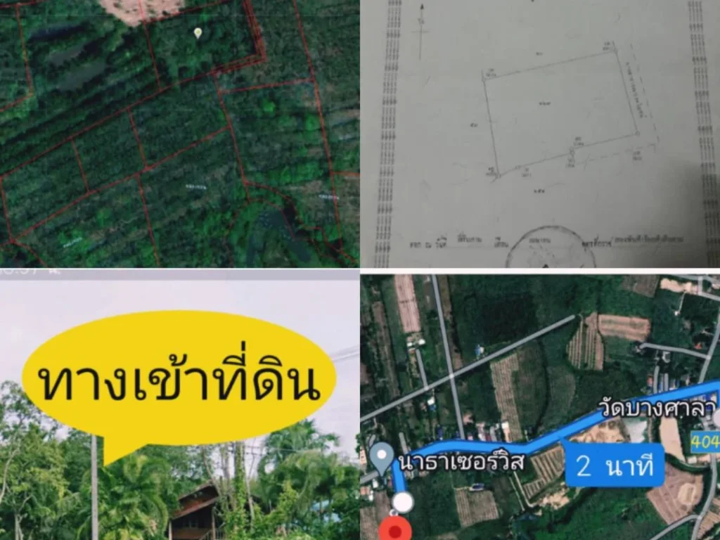 ขายที่สวนผสมคลองหอยโข่งทุ่งลาน2ไร่2งาน62ตรวขาย3200000บาท