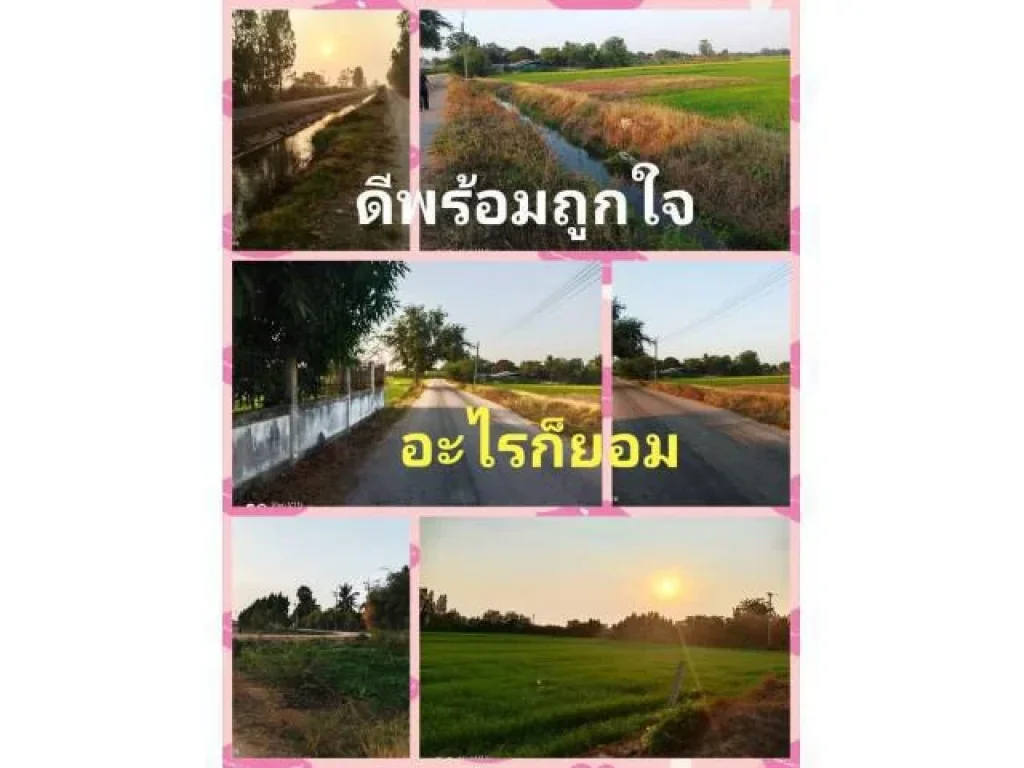 สูตรสำเร็จ สวยกระจุก สุขกระจาย แปลงเดียวที่ต้องเหลียวมอง เพื่อสืบทอดความต้องการ เราจะแนะนำแต่แปลงที่เป็นประโยชน์เท่านั้น