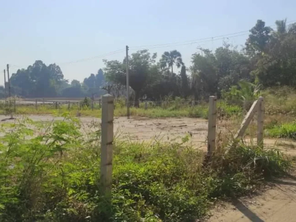 ขายที่ดินวิวภูเขา วิวทุ่งนา ติดถนนสองด้าน ดอยสะเก็ต