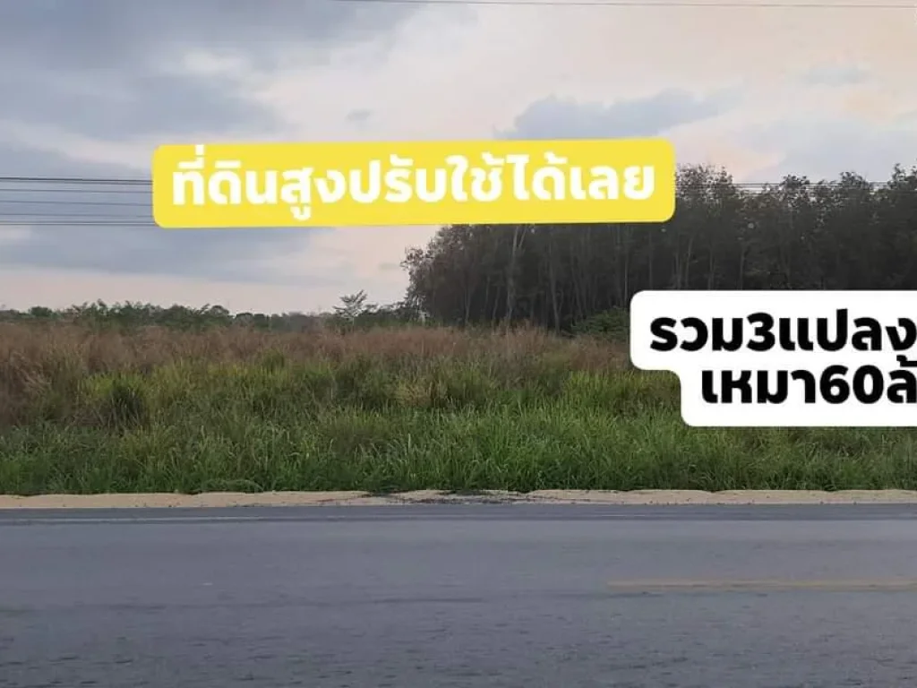 Ps266 ที่ดินปลวกแดงแม่น้ำคู้ติดถนนสวยๆ 36 ไร่ๆ1667ล้าน ถูกที่สุดครับ