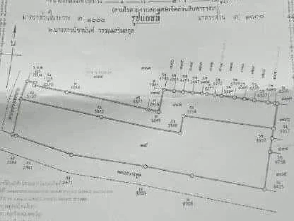 ขายที่ดินเปล่า 2ไร่ 2งาน 18 ตรวา จนนทบุรี