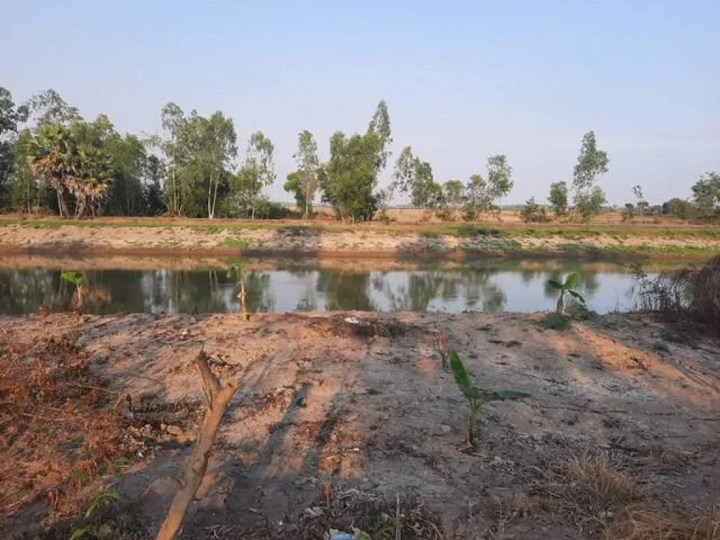 ขายที่ดิน เลียบคลองเหมือง ศรีจุฬา นครนายก