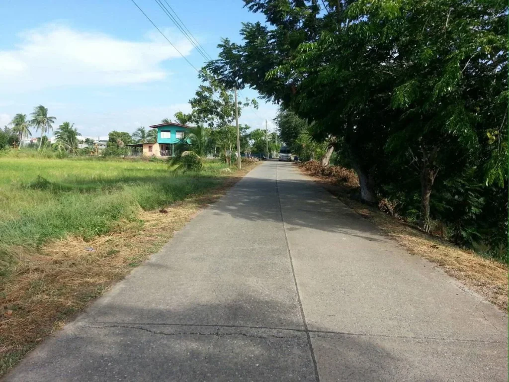 ขายที่ดิน 11ไร่ ติดถนนคอนกรีต ใกล้ถนนวงแหวนตะวันตก อสามโคก จปทุมธานี