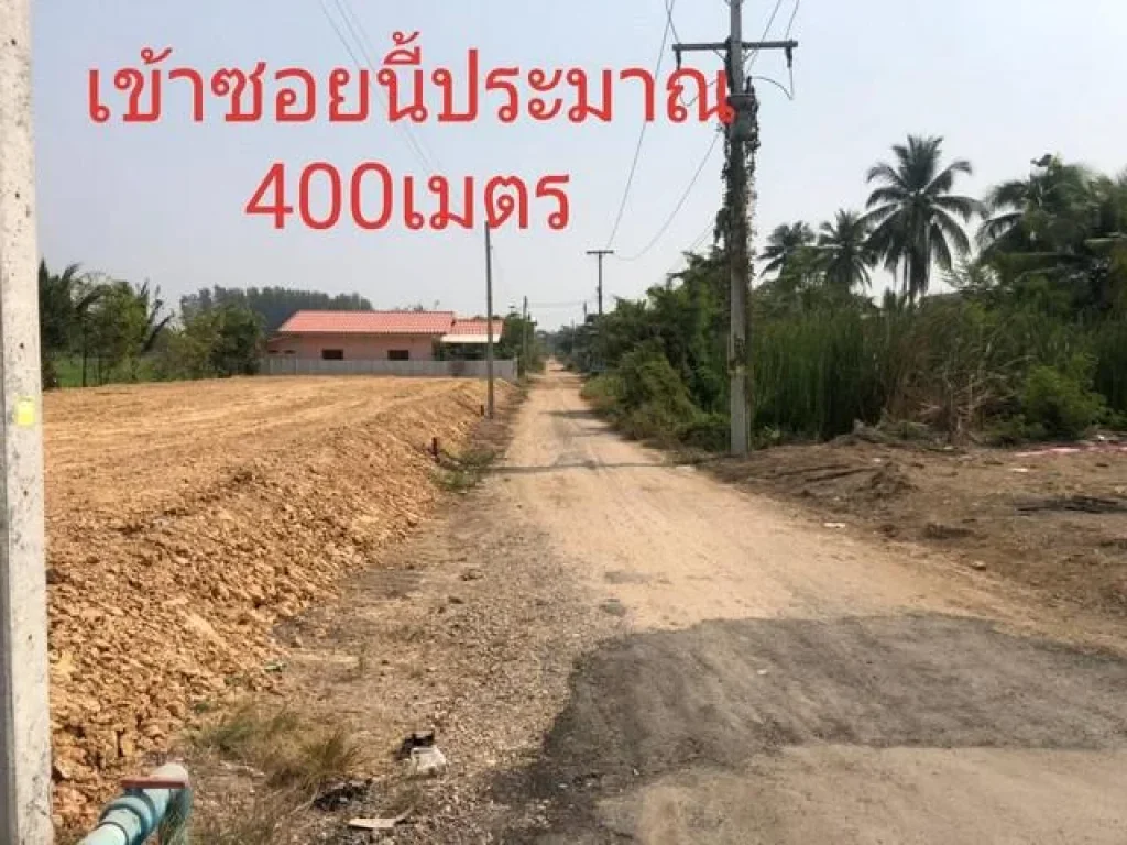 ด่วนที่ดินคลอง 9 หนองเสือ ปทุม 50 ตรว