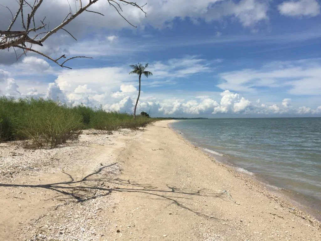 ทีชายทะเล 16 ไร่ หาดส่วนตัว วิวเกาะสมุย หมู่เกาะอ่างทอง หาดแหวก