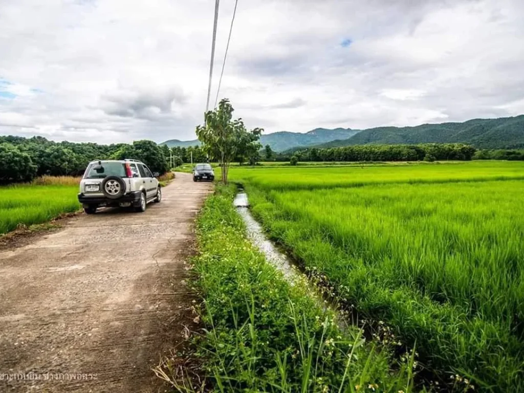 ที่ดินปลูกบ้านในกอดดอยโฉนดเกือบ 3 ไร่ กลางธรรมชาติบริสุทธิ์งดงาม 1200000