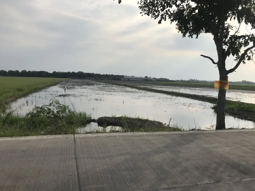 ที่ดินสวย สภาพแวดล้อมดี ทำเลดี น่าอยู่ บรรยากาศร่มรื่น อากาศดีมาก