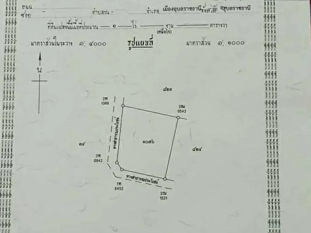 ขายที่ดิน 1 ไร่ ในซอยข้างศูนย์เบนซ์ ต่อเขตบ้านหนองมะนาว บ้านขี้เหล็ก