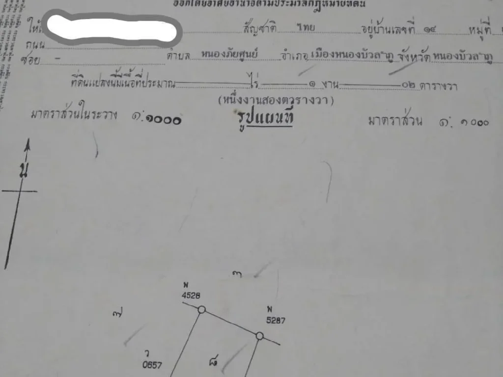 ขายที่ดิน102 ตรวกลางหมู่บ้านหนองภัยศูนย์ ถนนคอนกรีต ไฟฟ้า ประปาพร้อม