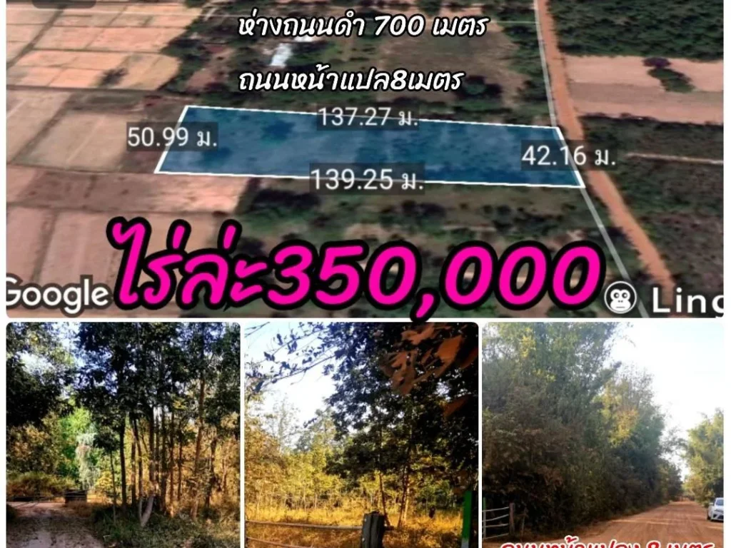 ที่ดินถุกๆมาแล้ว รีบจับจองด่วน แบ่งขาย 1-4 ไร่