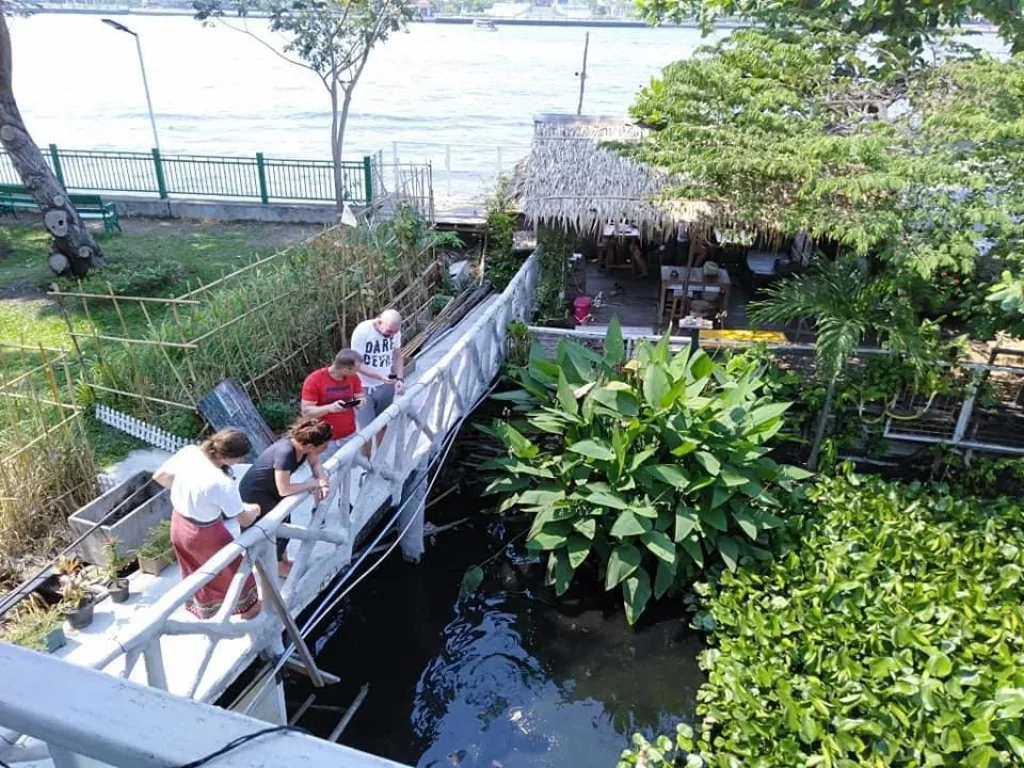 ขายที่ดินติดริมแม่น้ำเจ้าพระยาวิวสวยมาก