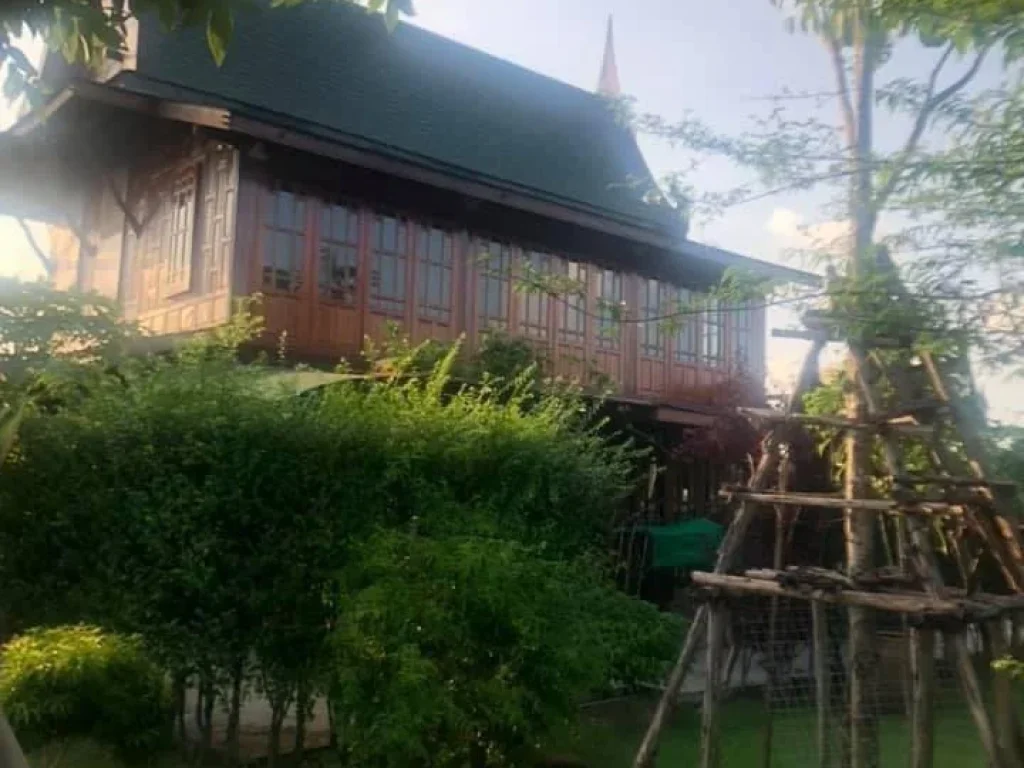 ขายบ้านเรือนไทย พร้อมที่ดินถมสูงแล้วเป็นสวน