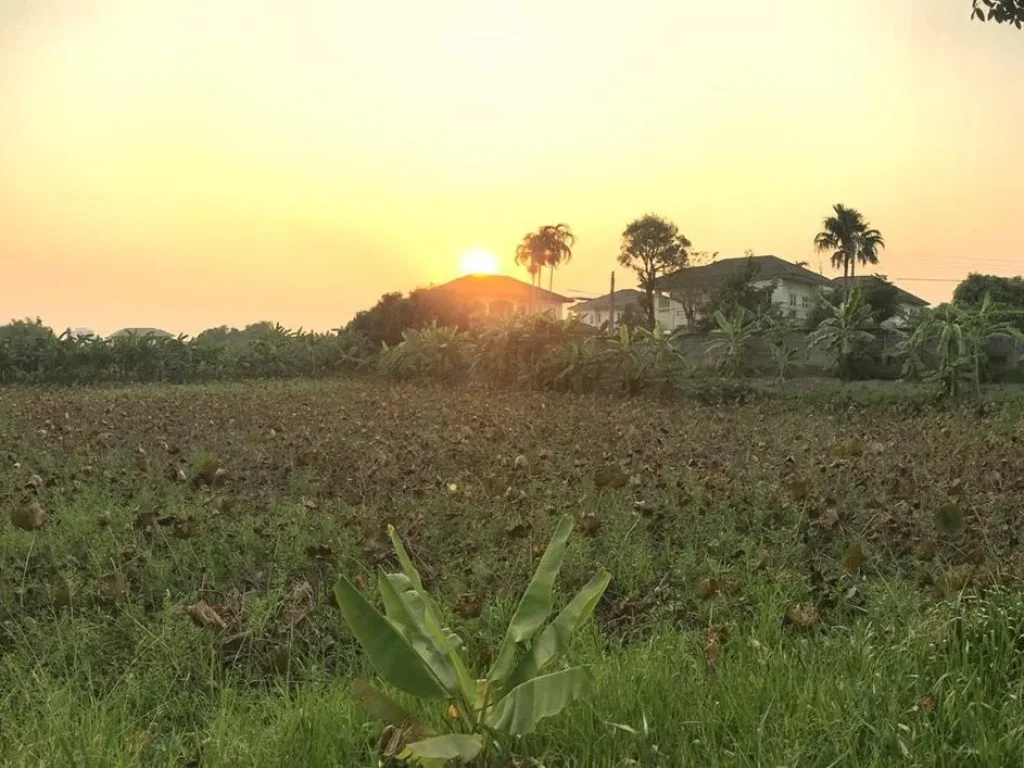 ขายที่ดิน 2 ไร่ ภายในหมู่บ้านมณีรินทร์ ติดริมน้ำ อเมือง จปทุมธานี