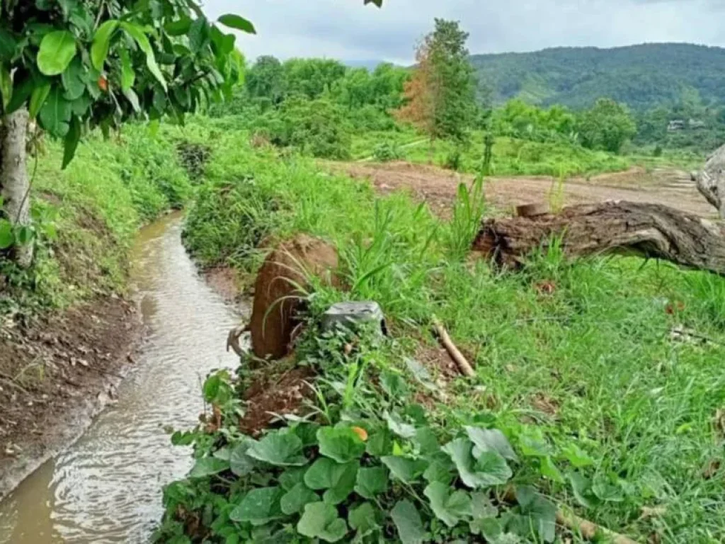 ขายที่นาขั้นบันได วิวภูเขาล้อมรอบ ติดถนนลาดยาง