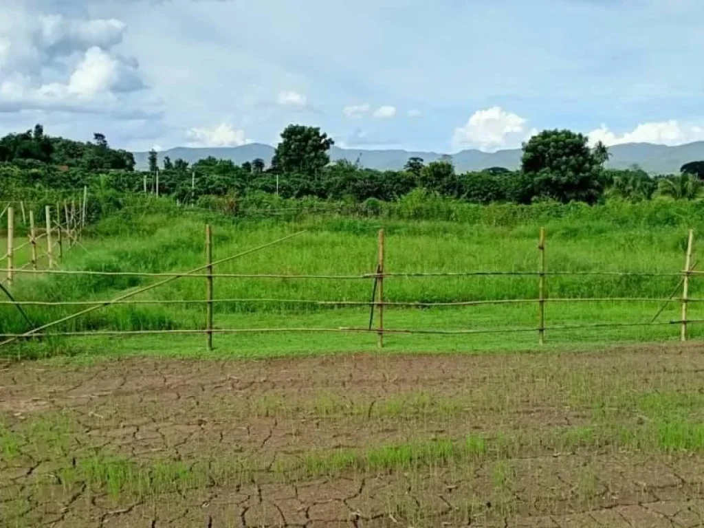 ขายที่สวนสันโป่ง แม่ริม วิวภูเขา ราคาถูก