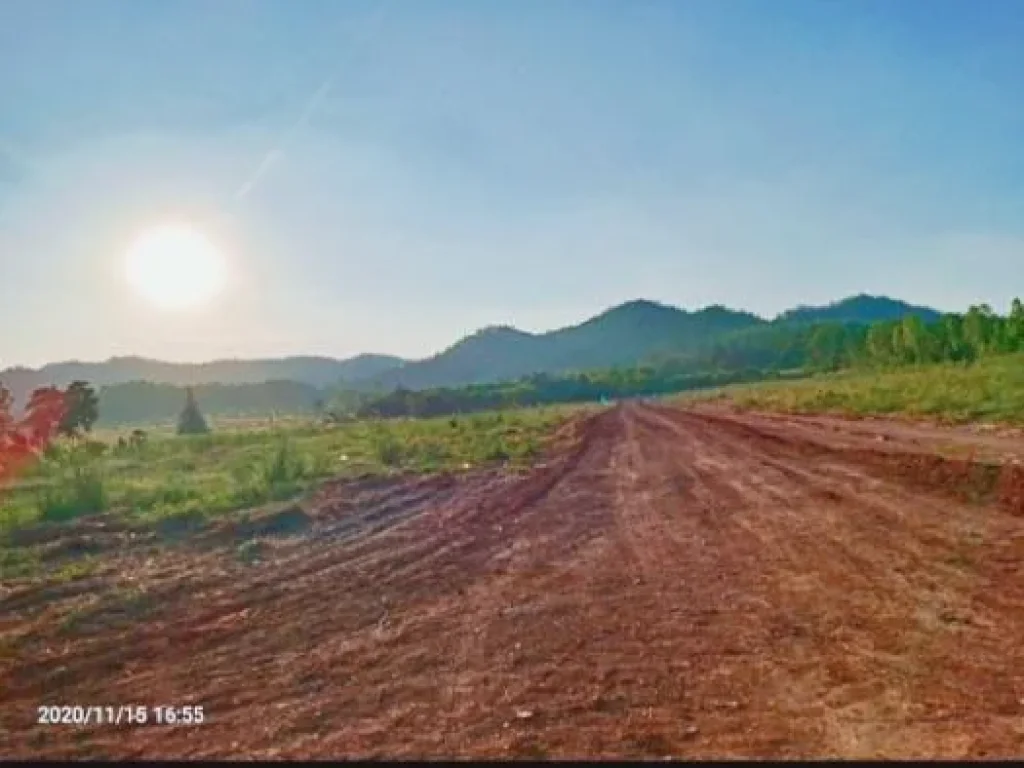 ที่สุดของขุนเขา 2 ไร่ โฉนด ฟรีโอน