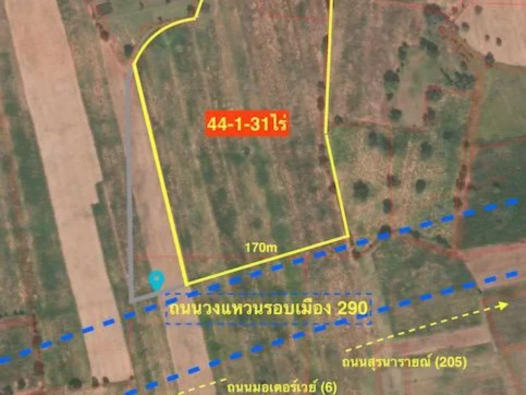 ขายที่ดิน 44-1-31ไร่ ติดถนนวงแหวนรอบเมือง 290 โนนไทย โคราช