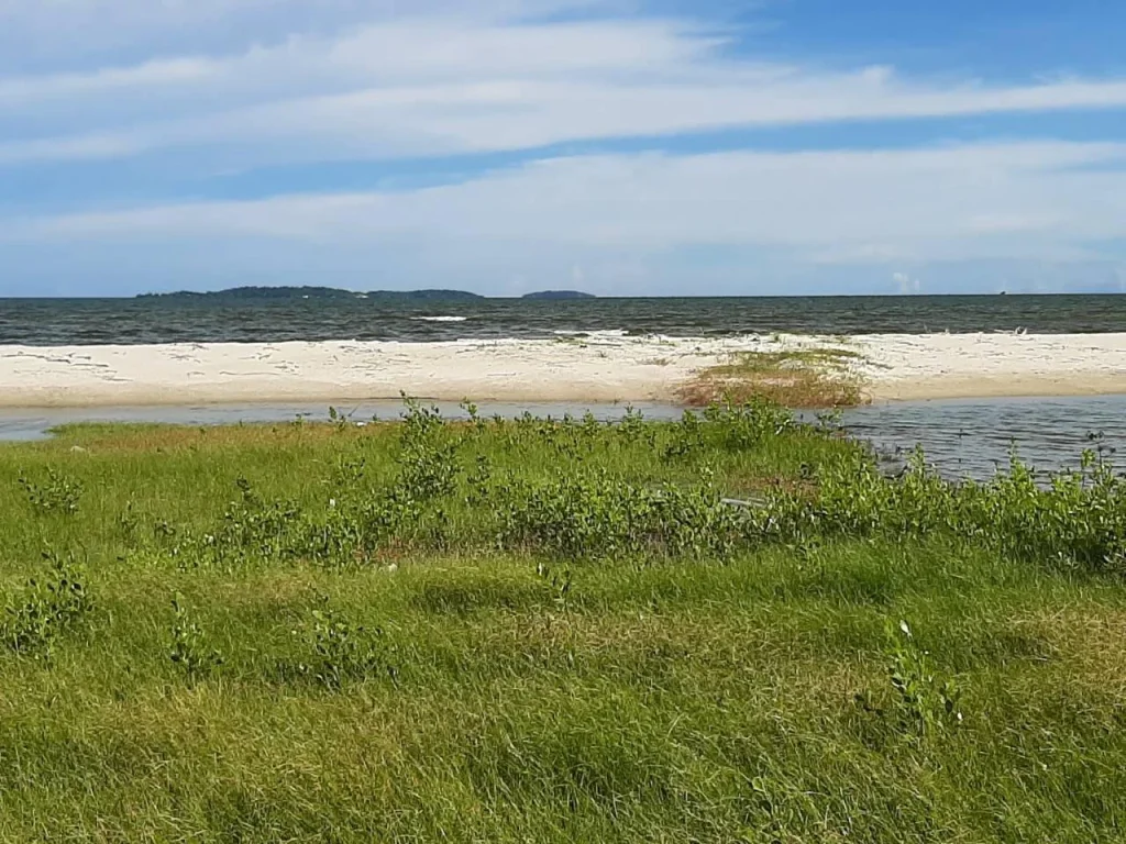  ขายที่ดินติดทะเลชายหาดส่วนตัว 2-4 ไร่ หาดทรายขาว