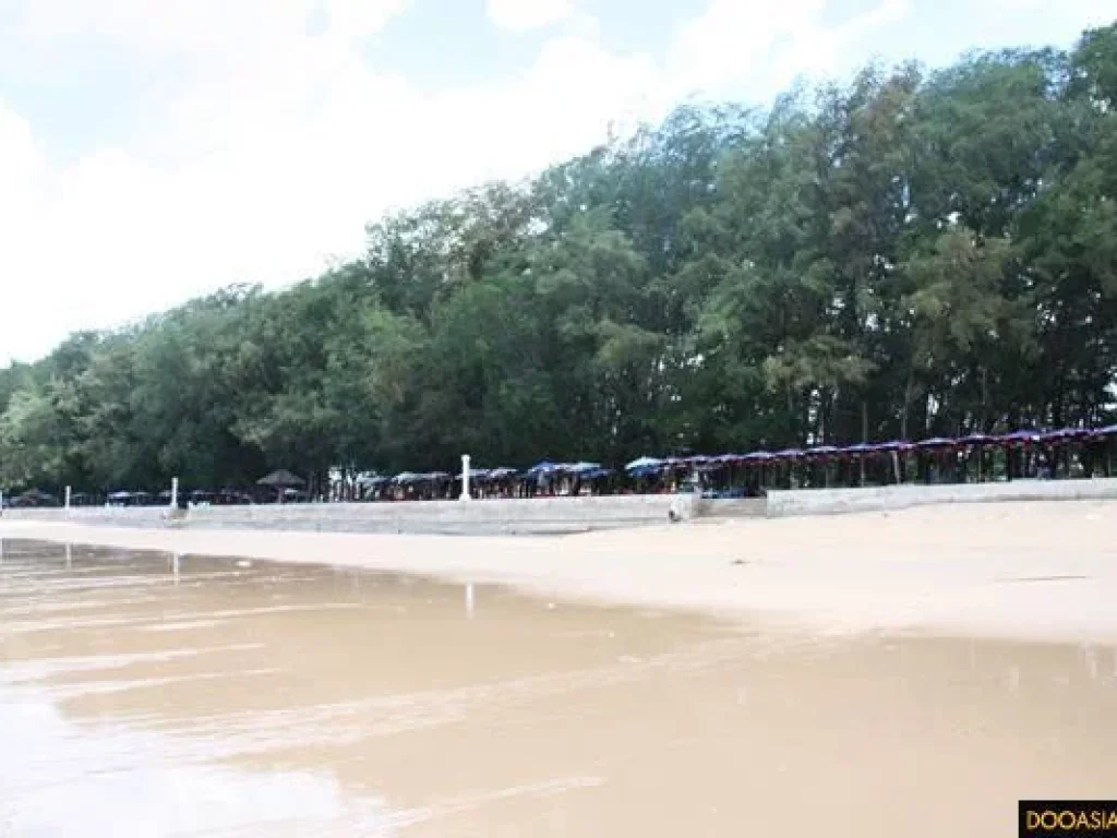 ขายที่ดินติดชายหาด ทะเลหาดพลา 61 ไร่ ติดเขตสนามบินอู่ตะเภา