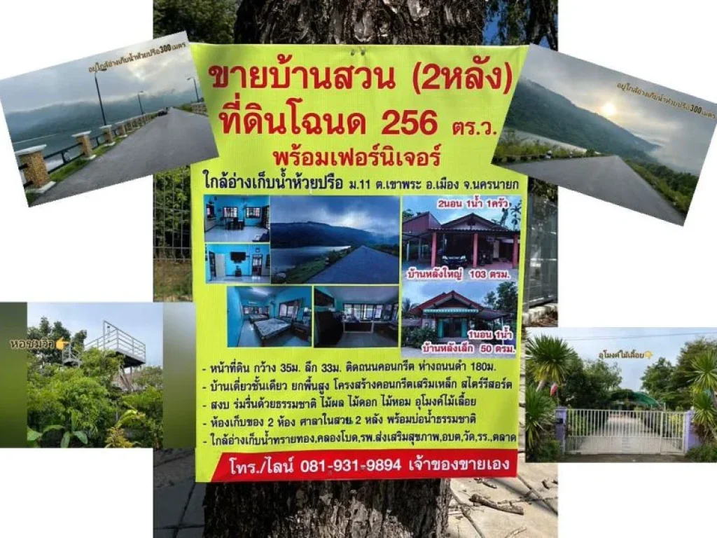 ขายที่ดินพร้อมบ้าน 256 ตารางวา หมู่ 11 ตำบลเขาพระ