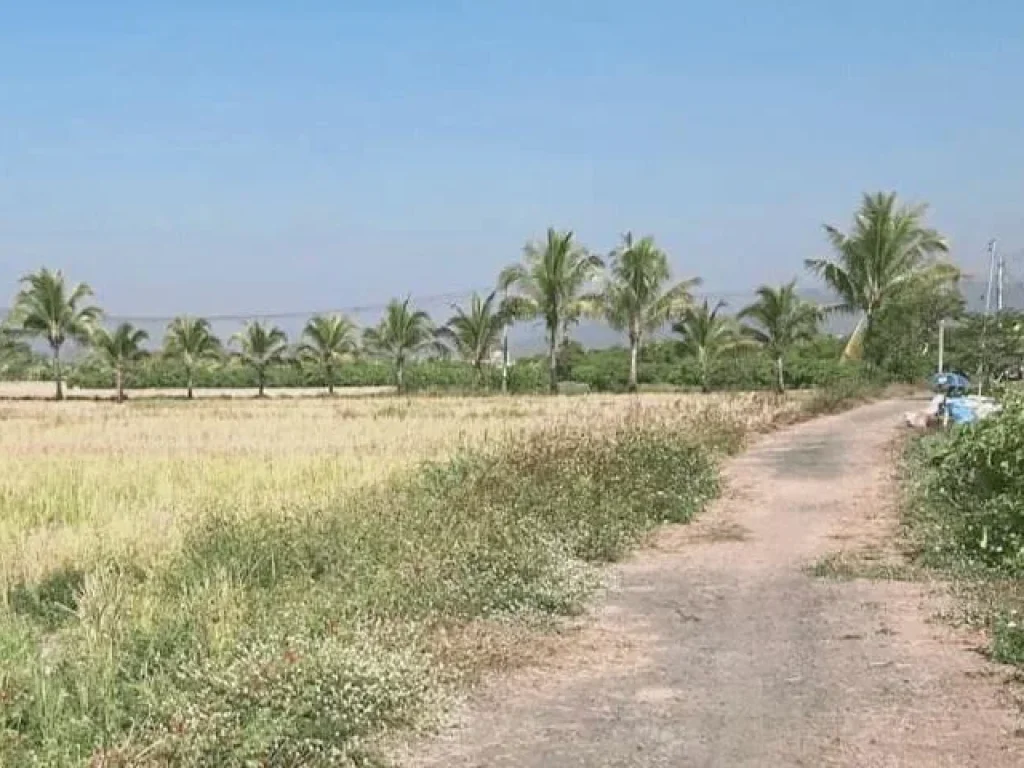 ขายที่ดินน้ำบ่อหลวง สันป่าตอง ราคาถูก