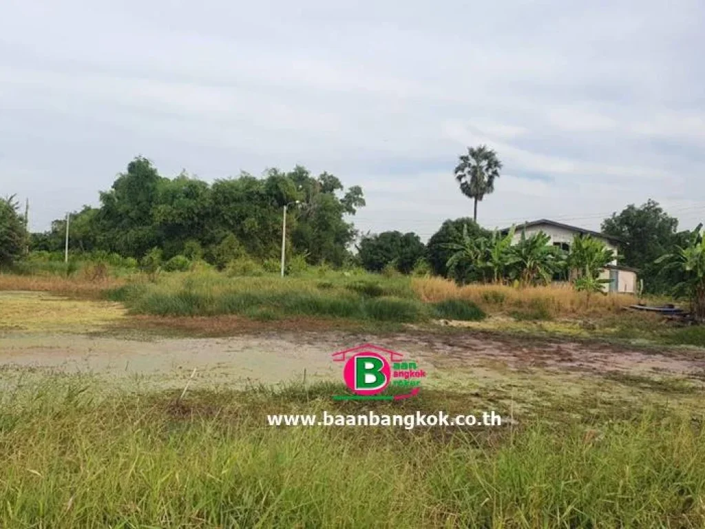 ที่ดิน ซอยสุวินทวงศ์ 28 แยก 26 เนื้อที่ 200 ตรว ถนนสุวินทวงศ์ เขตมีนบุรี